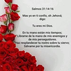 Meet your Posher, Joana